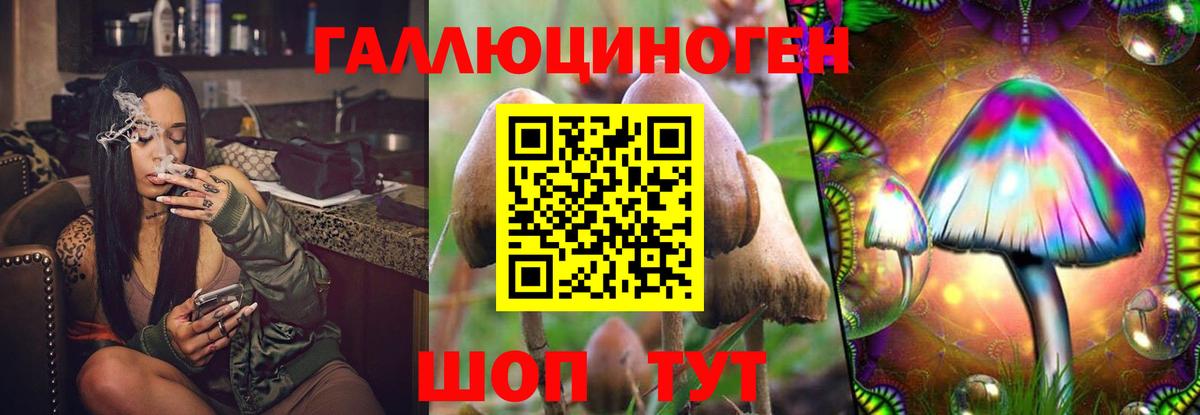 Галлюциногенные грибы ЛСД Павлово