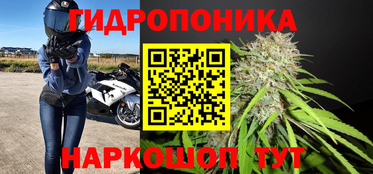 Конопля планчик Павлово